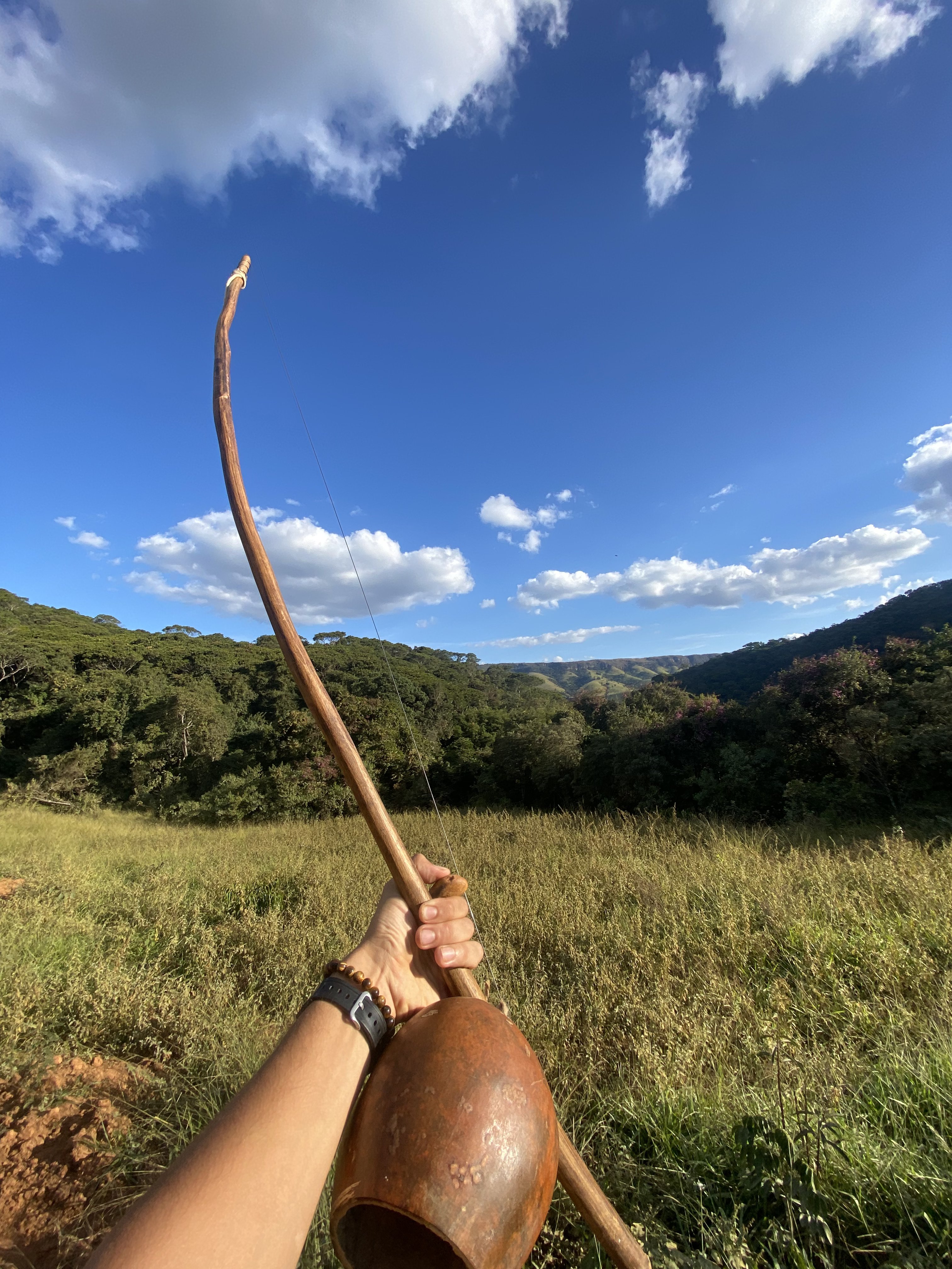 Bow and arrow in the open field